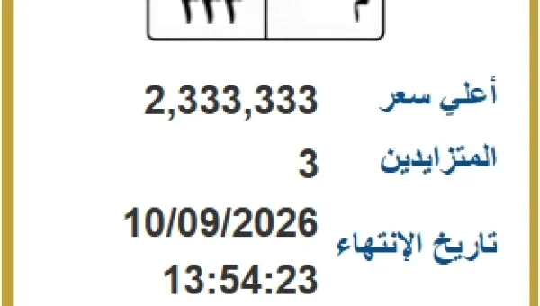 Egypt's Special Car Plate Auction: 8 Plates Up for Grabs, Top Bid Hits EGP 2.3M