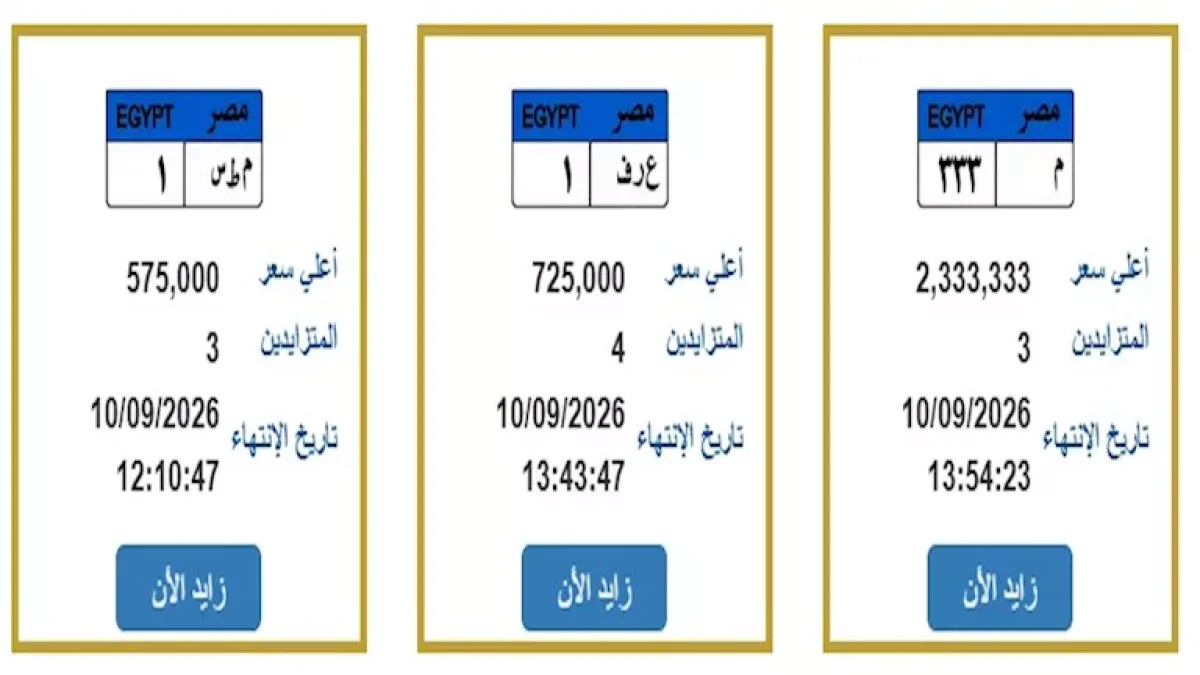 لوحات بالملايين في مزاد الداخلية الإلكتروني.. 7 فرص لأرقام مميزة حتى 10 سبتمبر
