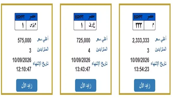 Interior Ministry's E-Auction Offers 7 Premium License Plates — Top Bid Hits EGP 2.3 Million