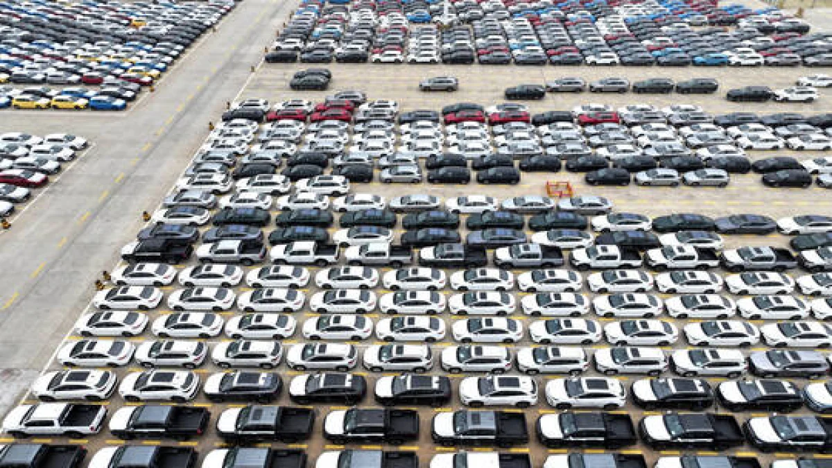 Egyptian Customs Reviews Reference Values for Chinese Car Brands After Invoice Errors
