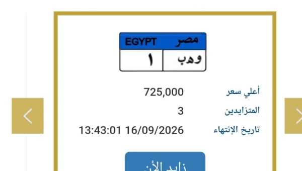 لوحة «وهـ ب1» تشعل مزاد المرور: 725 ألف جنيه بسعر سيارة زيرو