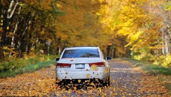 Goodbye Summer: 7 Essential Steps to Prepare Your Car for Autumn and Avoid Breakdowns