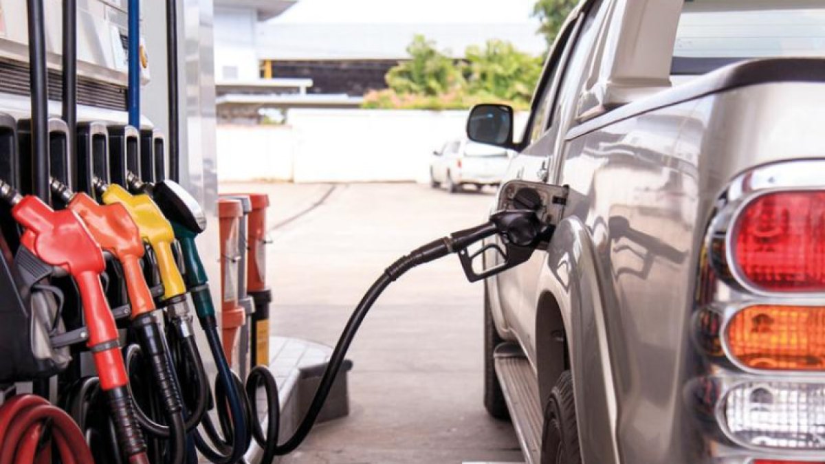 Official Report: Petrol Still Dominates Egypt's Vehicle Market as EVs See Notable Growth in May