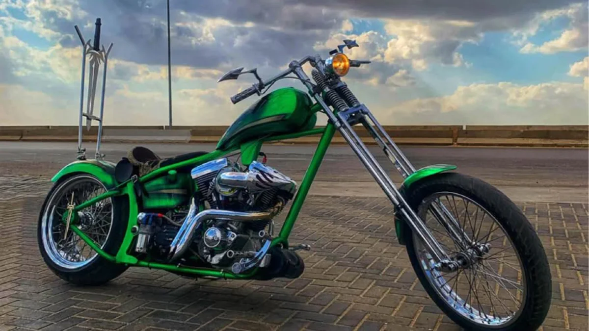 Harley-Davidson Softail 2003 in Egypt at EGP 750,000: The 'Green Horse' Story and the Centennial Secret