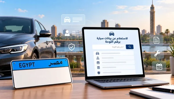 How to Check Vehicle Data by License Plate: The Official Guide