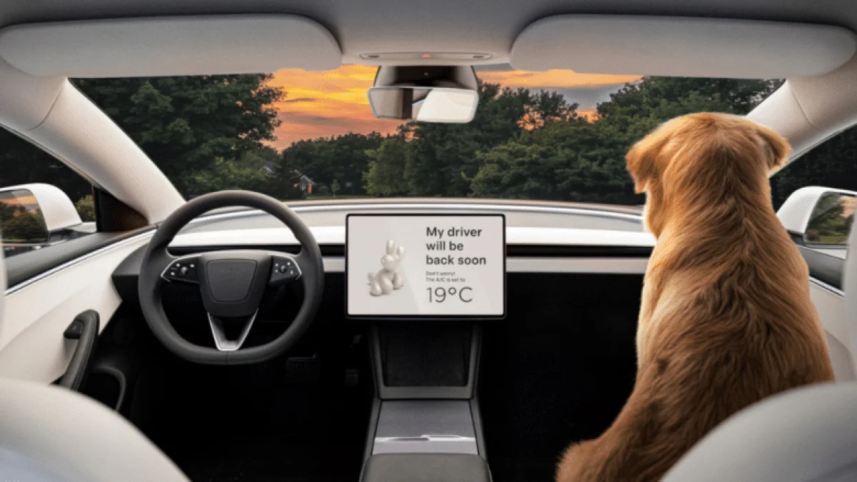 Tesla Drops 'Self-Driving' Name in Europe, Calls It 'Driver Assistant'