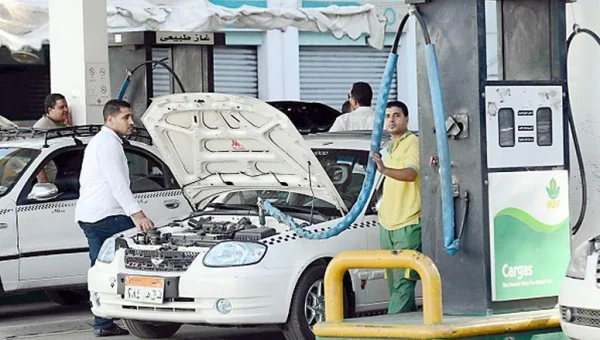 محطة مليحة تدخل مرحلة جديدة بدعم قطاع السيارات في مصر