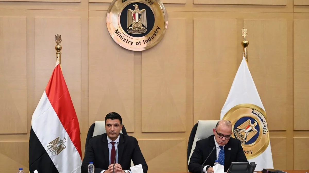 Egypt Offers New Billet Licenses to Boost Local Auto Components