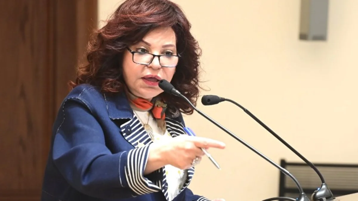 آمال عبد الحميد: إعفاءات سيارات الشباب تدعم التشغيل ويجب تحويل المبادرات إلى برامج إنتاجية
