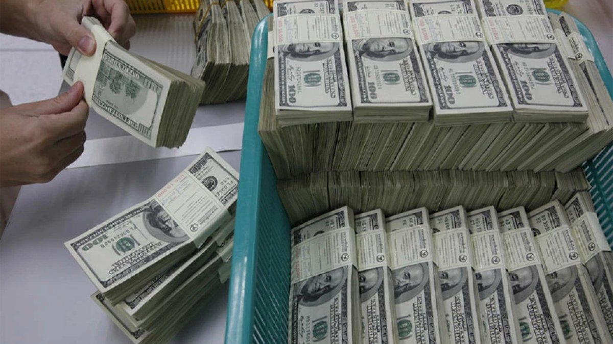 استقرار سعر الدولار أمام الجنيه المصري في البنوك منتصف تعاملات الثلاثاء