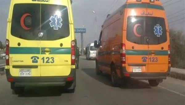 Injury Compensation Rights After Kafr El Sheikh Van Rollover: Up to EGP 100,000 Payouts