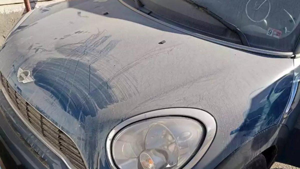 تشكيلة متنوعة من السيارات في مزاد هيئة الخدمات الحكومية ببورسعيد ودمياط