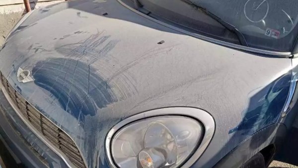 تشكيلة متنوعة من السيارات في مزاد هيئة الخدمات الحكومية ببورسعيد ودمياط