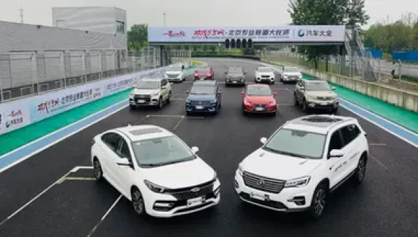 Chinese Brands Capture 41.4% of Egypt's Auto Market in 4 Months